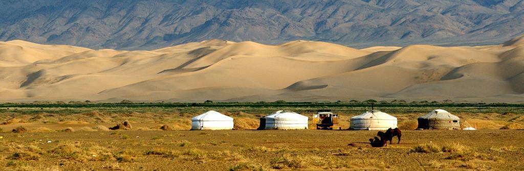 Majestic Gobi Tour Operator And Guest House Oelan-bator Buitenkant foto